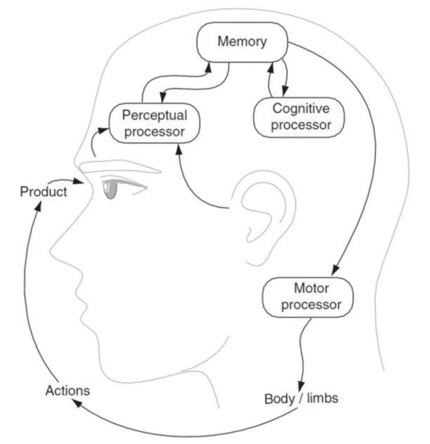 فرایند خلاصه از عملکرد مغز